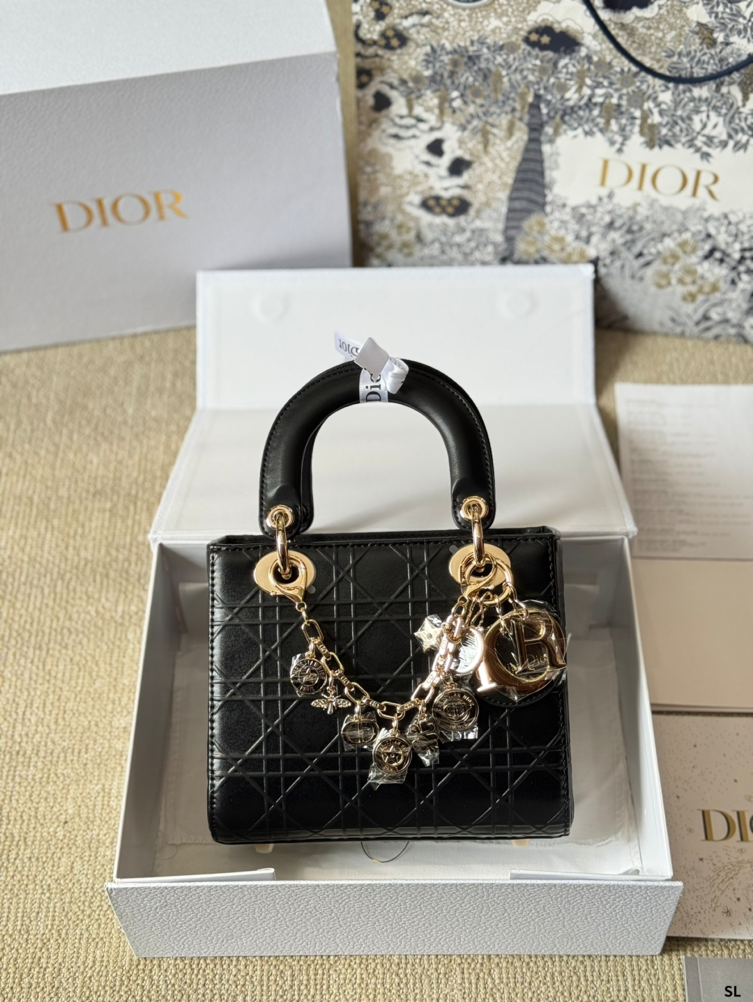 DIOR bag 424